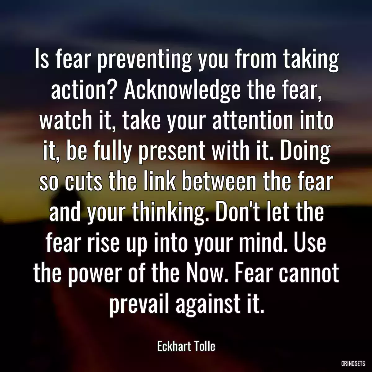 Is fear preventing you from taking action? Acknowledge the fear, watch it, take your attention into it, be fully present with it. Doing so cuts the link between the fear and your thinking. Don\'t let the fear rise up into your mind. Use the power of the Now. Fear cannot prevail against it.