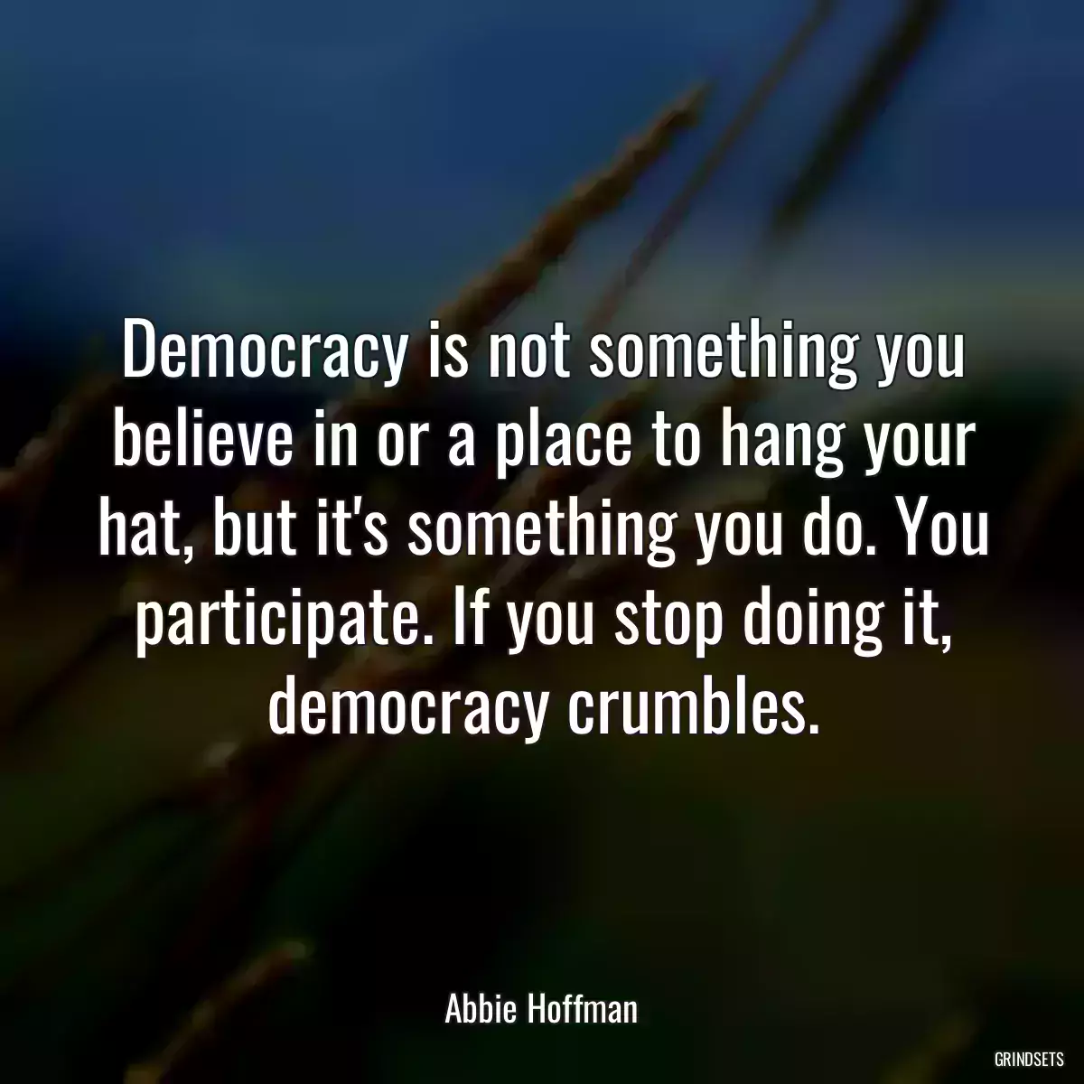 Democracy is not something you believe in or a place to hang your hat, but it\'s something you do. You participate. If you stop doing it, democracy crumbles.