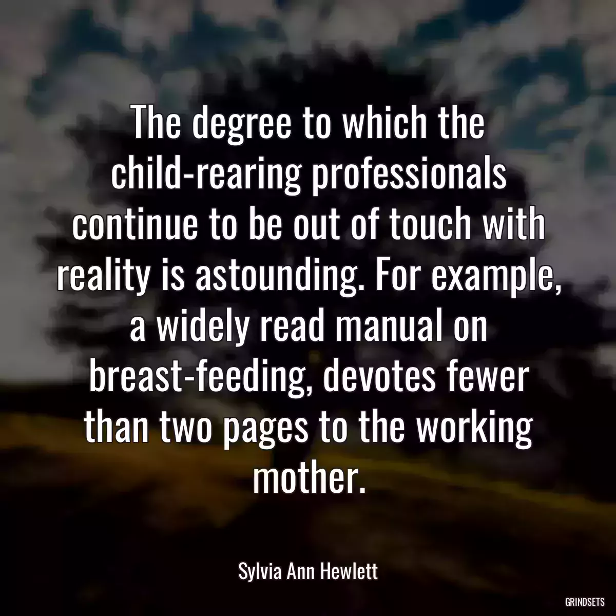 The degree to which the child-rearing professionals continue to be out of touch with reality is astounding. For example, a widely read manual on breast-feeding, devotes fewer than two pages to the working mother.