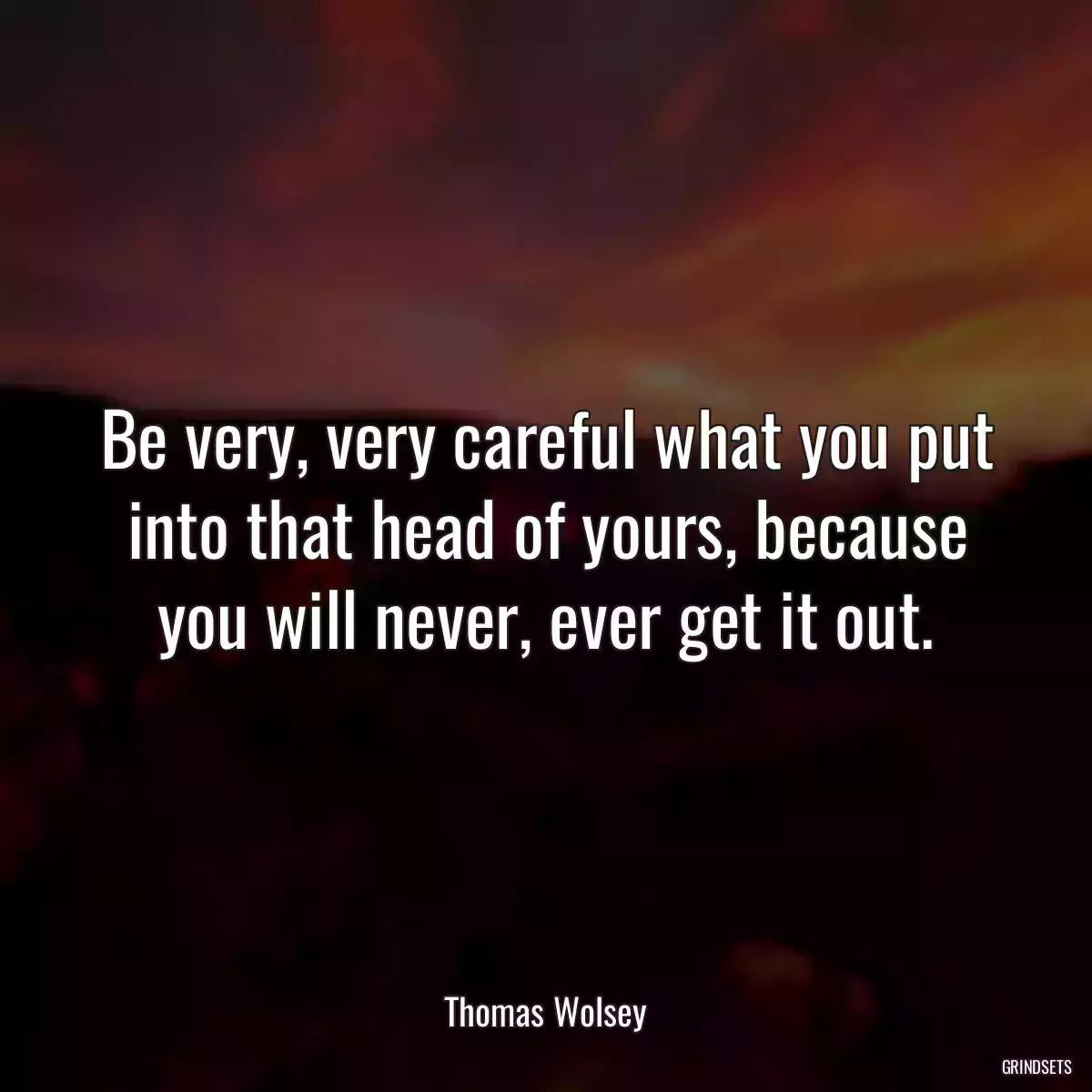 Be very, very careful what you put into that head of yours, because you will never, ever get it out.