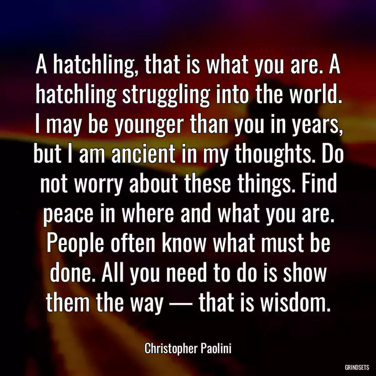 A hatchling, that is what you are. A hatchling struggling into the world. I may be younger than you in years, but I am ancient in my thoughts. Do not worry about these things. Find peace in where and what you are. People often know what must be done. All you need to do is show them the way — that is wisdom.