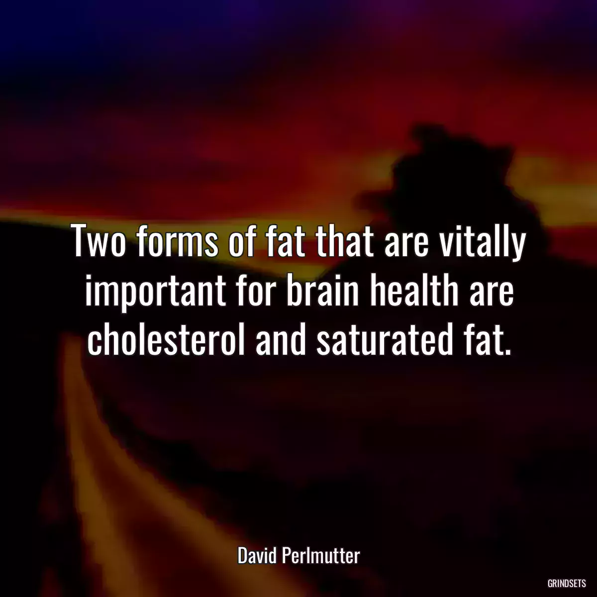 Two forms of fat that are vitally important for brain health are cholesterol and saturated fat.