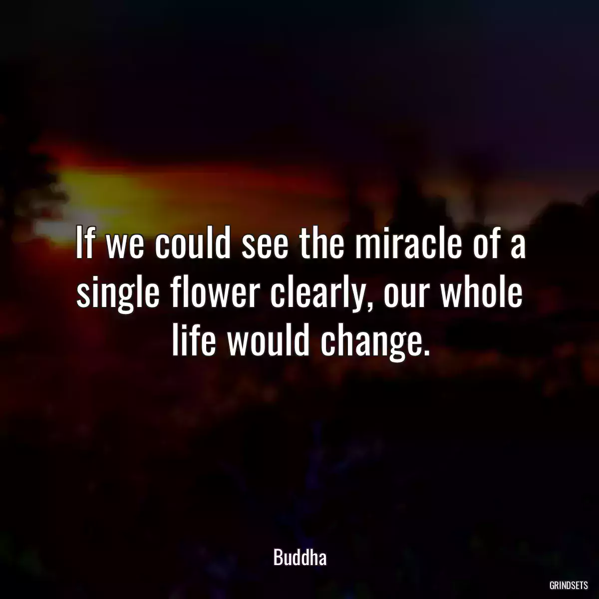 If we could see the miracle of a single flower clearly, our whole life would change.