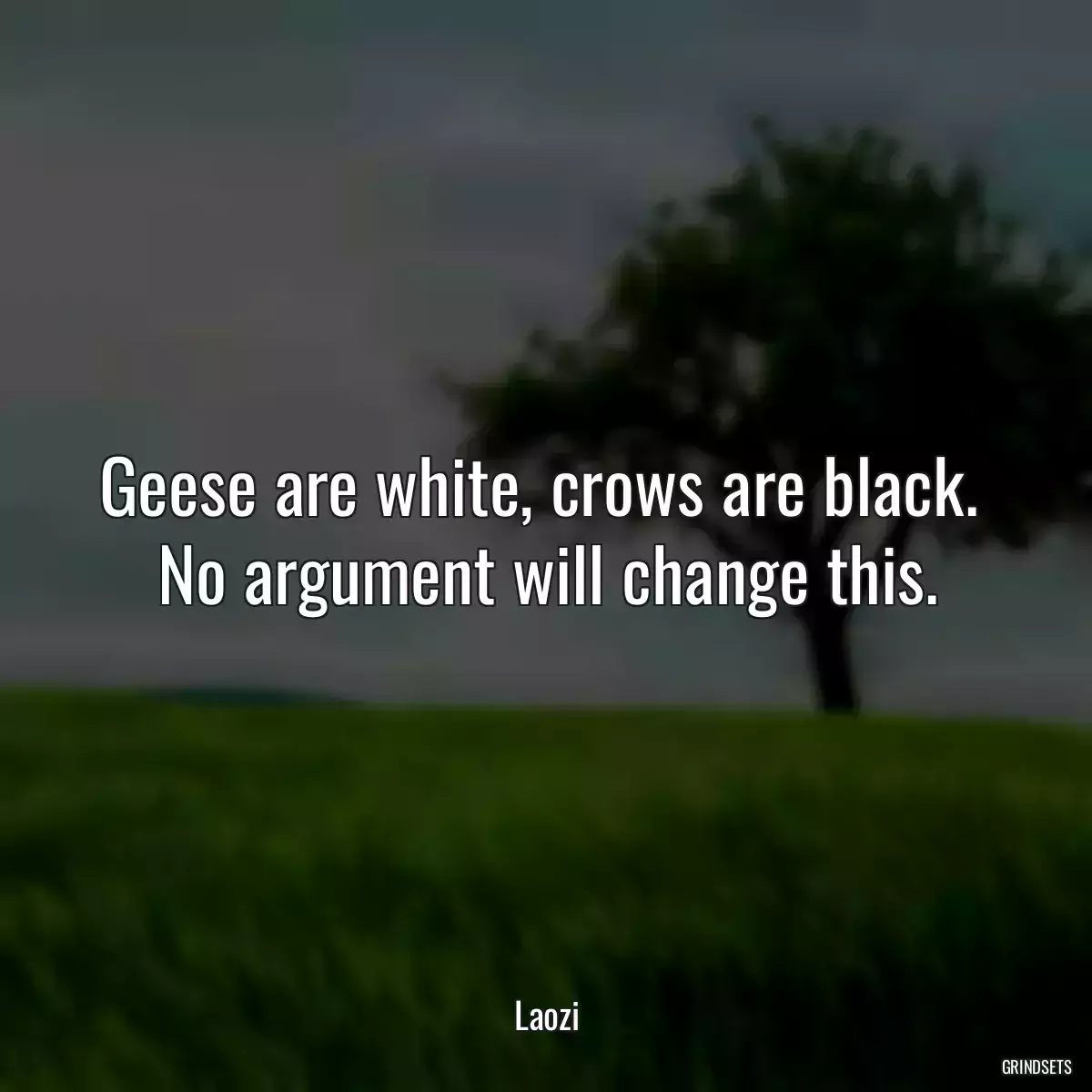 Geese are white, crows are black.  No argument will change this.