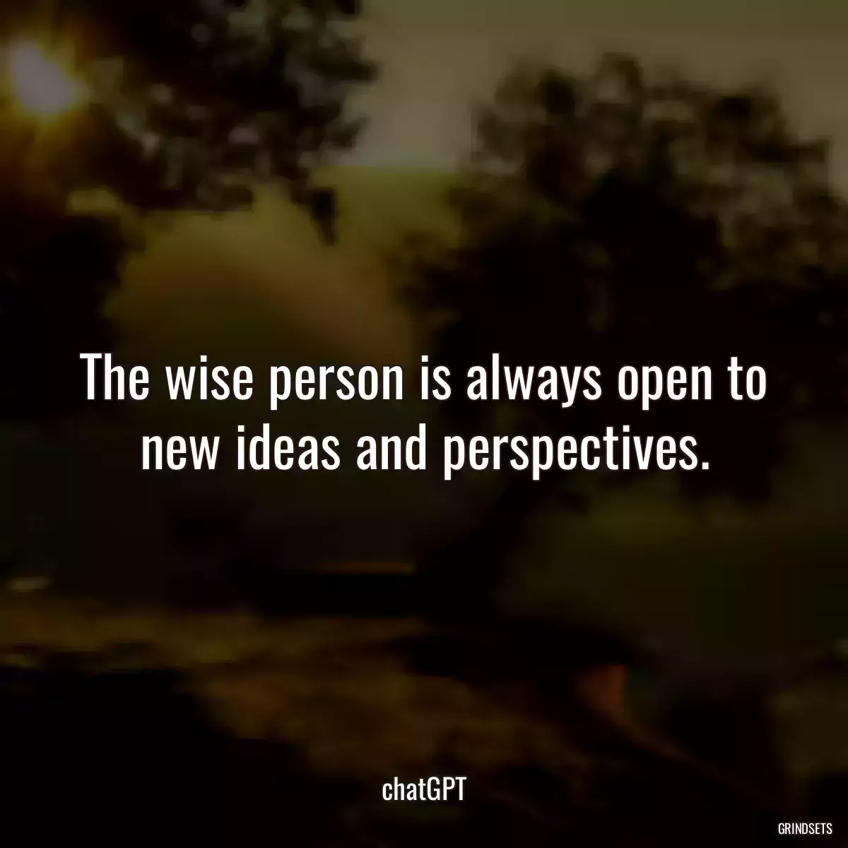 The wise person is always open to new ideas and perspectives.