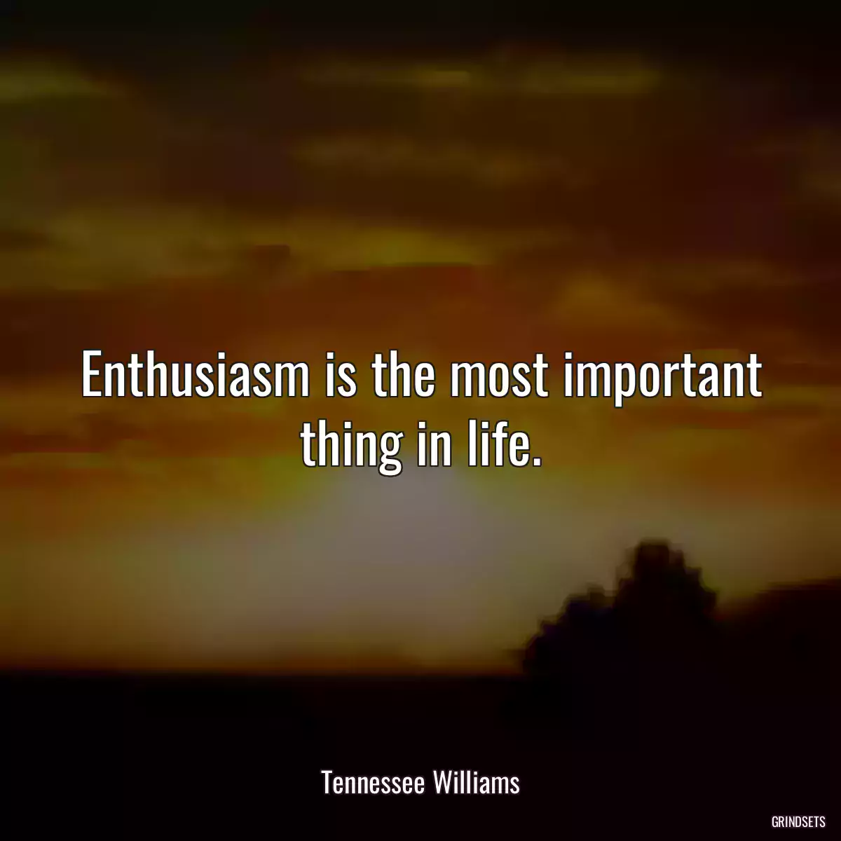 Enthusiasm is the most important thing in life.