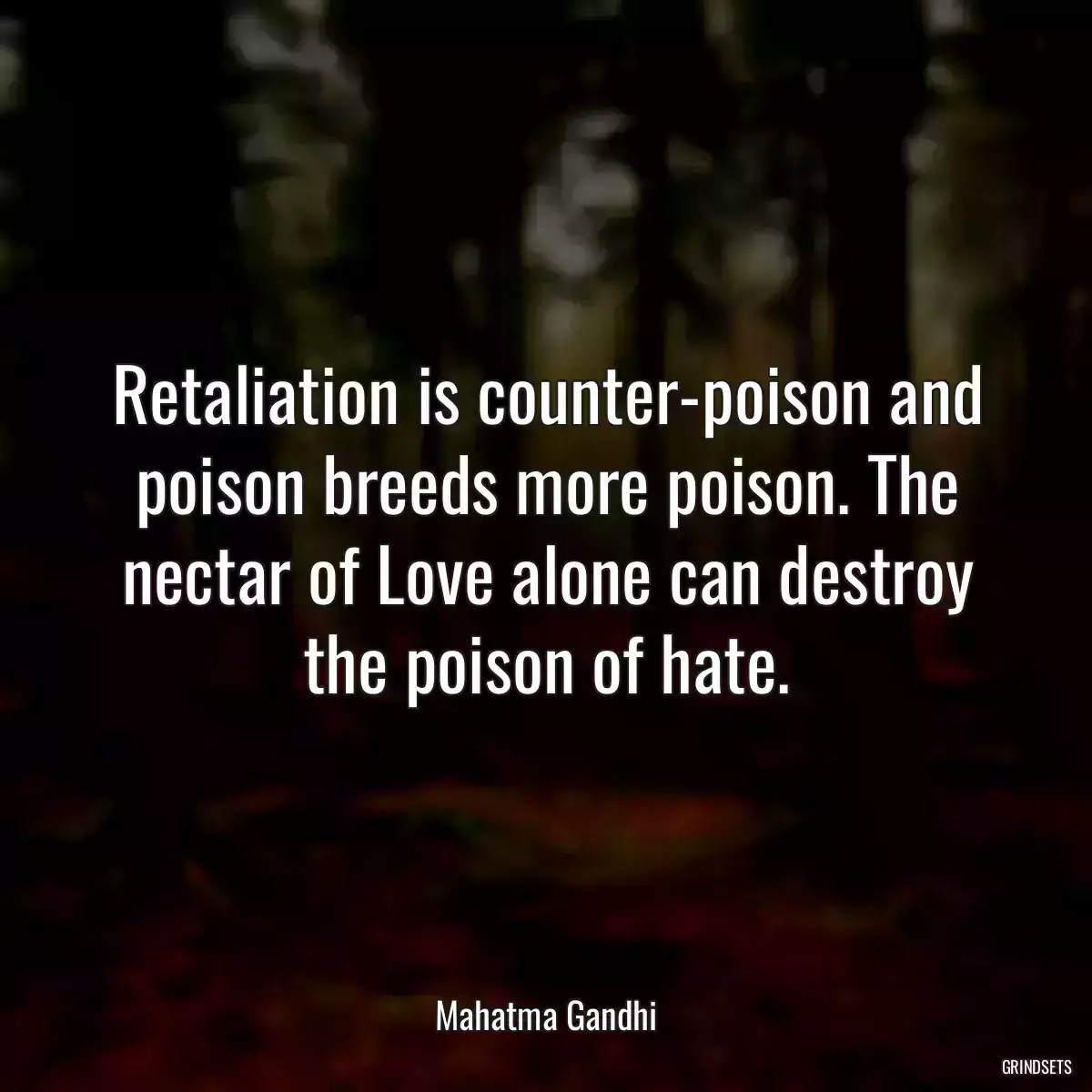 Retaliation is counter-poison and poison breeds more poison. The nectar of Love alone can destroy the poison of hate.