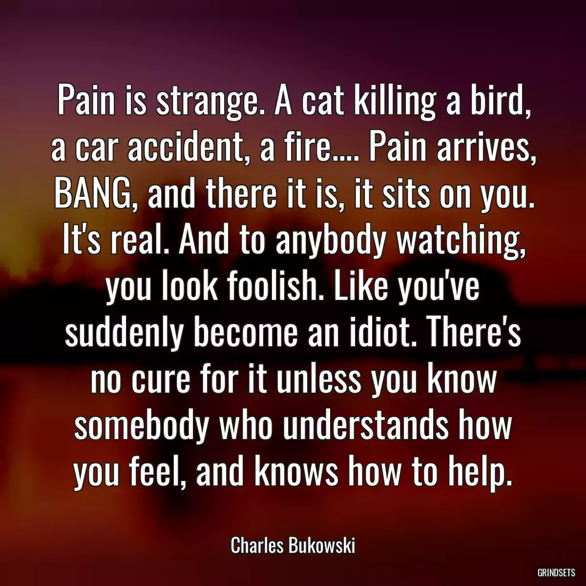 Pain is strange. A cat killing a bird, a car accident, a fire.... Pain arrives, BANG, and there it is, it sits on you. It\'s real. And to anybody watching, you look foolish. Like you\'ve suddenly become an idiot. There\'s no cure for it unless you know somebody who understands how you feel, and knows how to help.