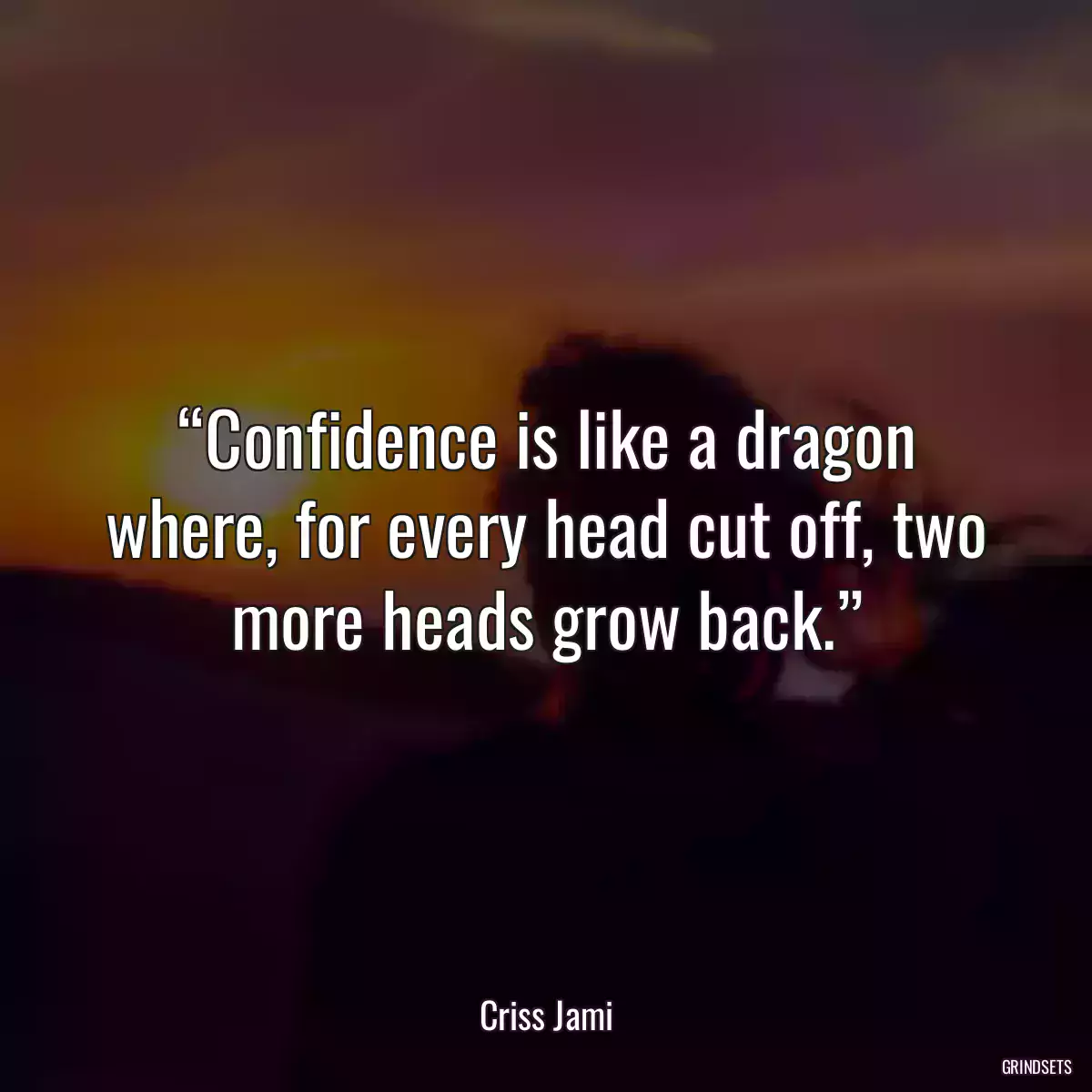 “Confidence is like a dragon where, for every head cut off, two more heads grow back.”