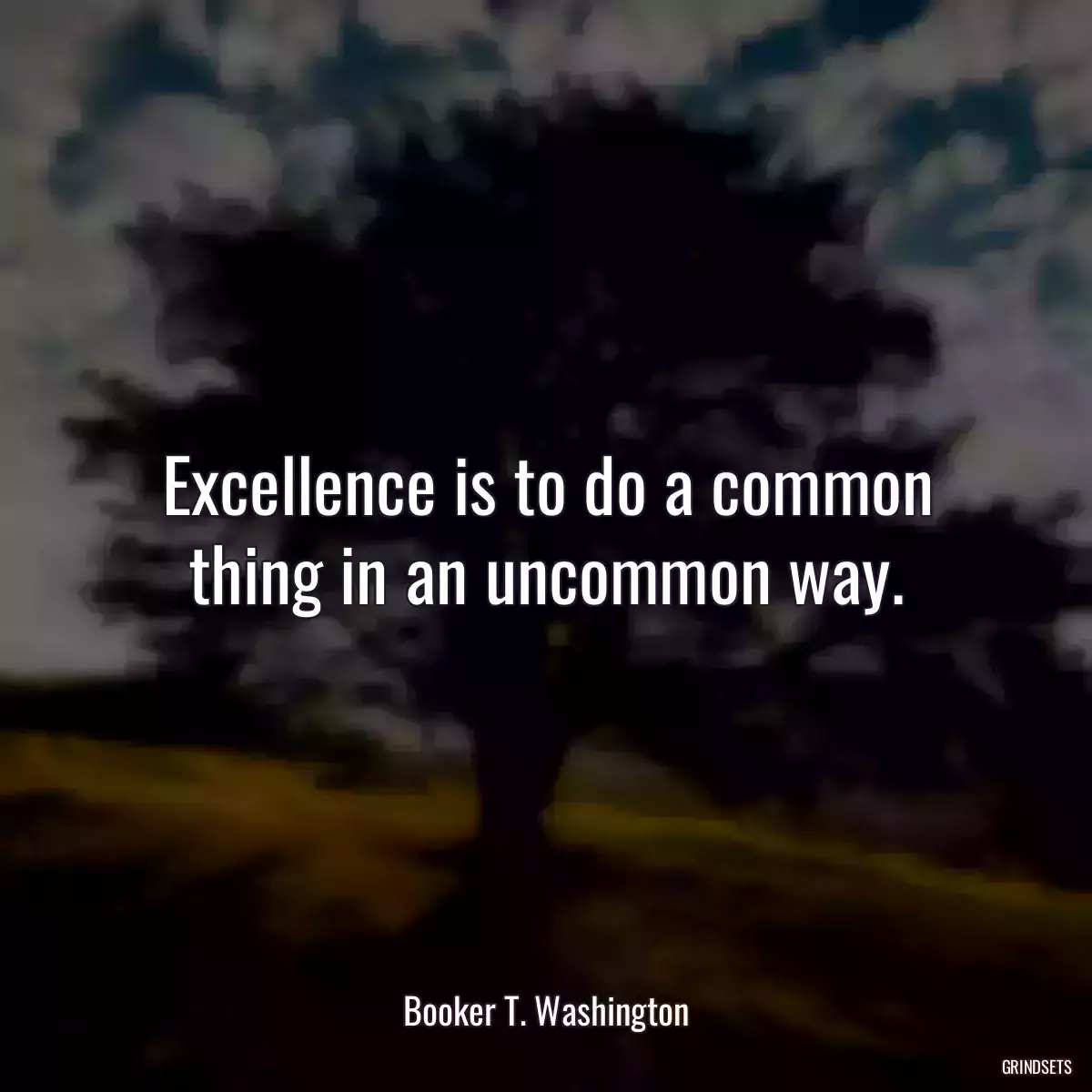 Excellence is to do a common thing in an uncommon way.