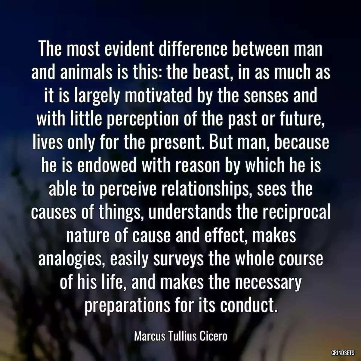 The most evident difference between man and animals is this: the beast, in as much as it is largely motivated by the senses and with little perception of the past or future, lives only for the present. But man, because he is endowed with reason by which he is able to perceive relationships, sees the causes of things, understands the reciprocal nature of cause and effect, makes analogies, easily surveys the whole course of his life, and makes the necessary preparations for its conduct.