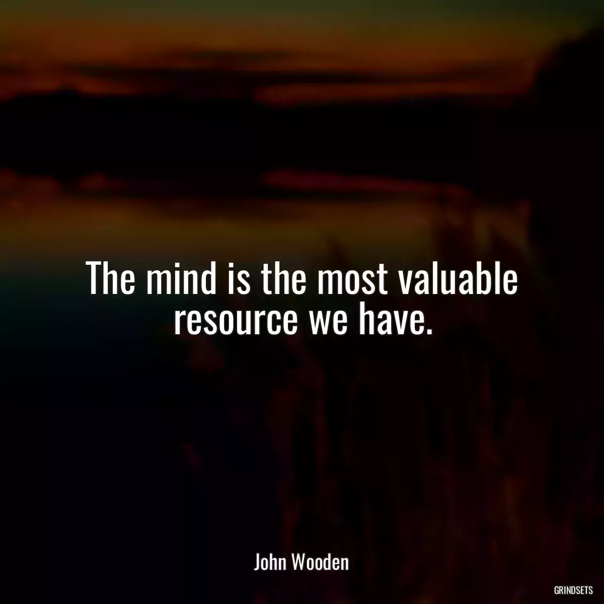 The mind is the most valuable resource we have.