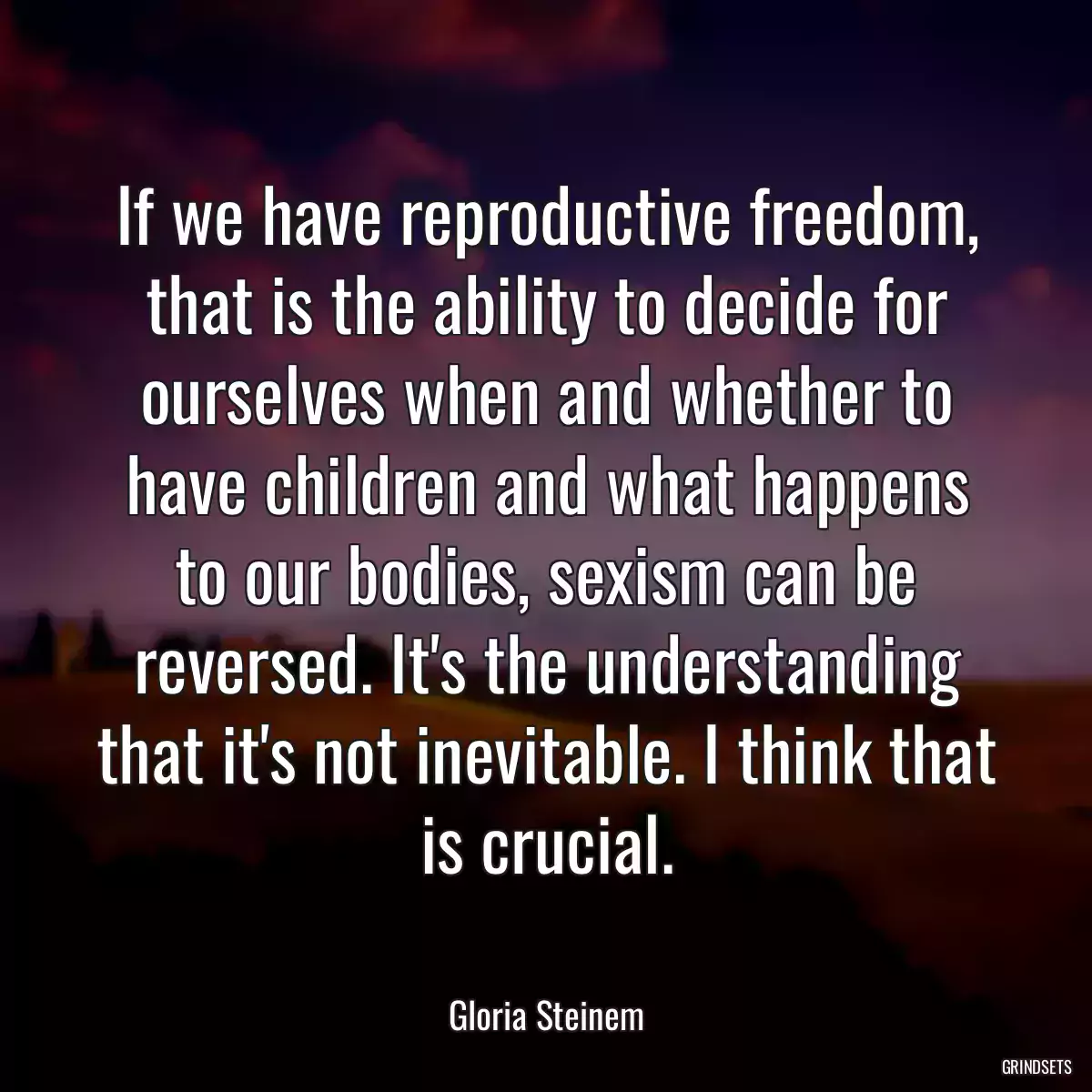 If we have reproductive freedom, that is the ability to decide for ourselves when and whether to have children and what happens to our bodies, sexism can be reversed. It\'s the understanding that it\'s not inevitable. I think that is crucial.