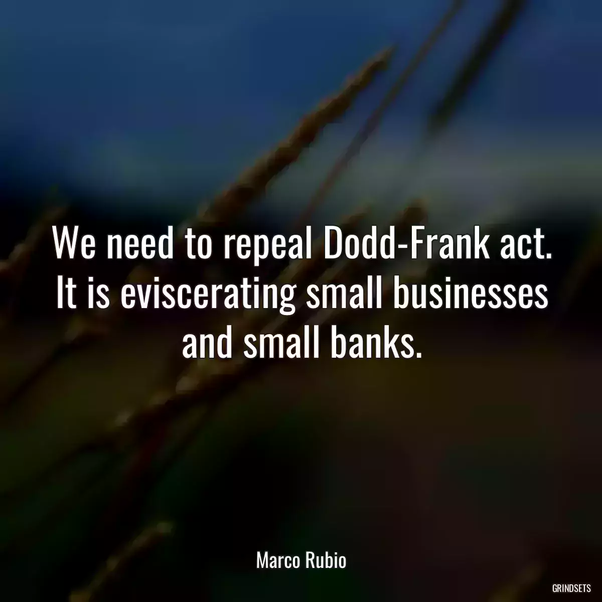 We need to repeal Dodd-Frank act. It is eviscerating small businesses and small banks.