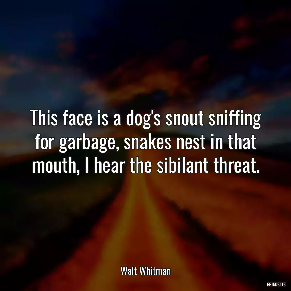 This face is a dog\'s snout sniffing for garbage, snakes nest in that mouth, I hear the sibilant threat.