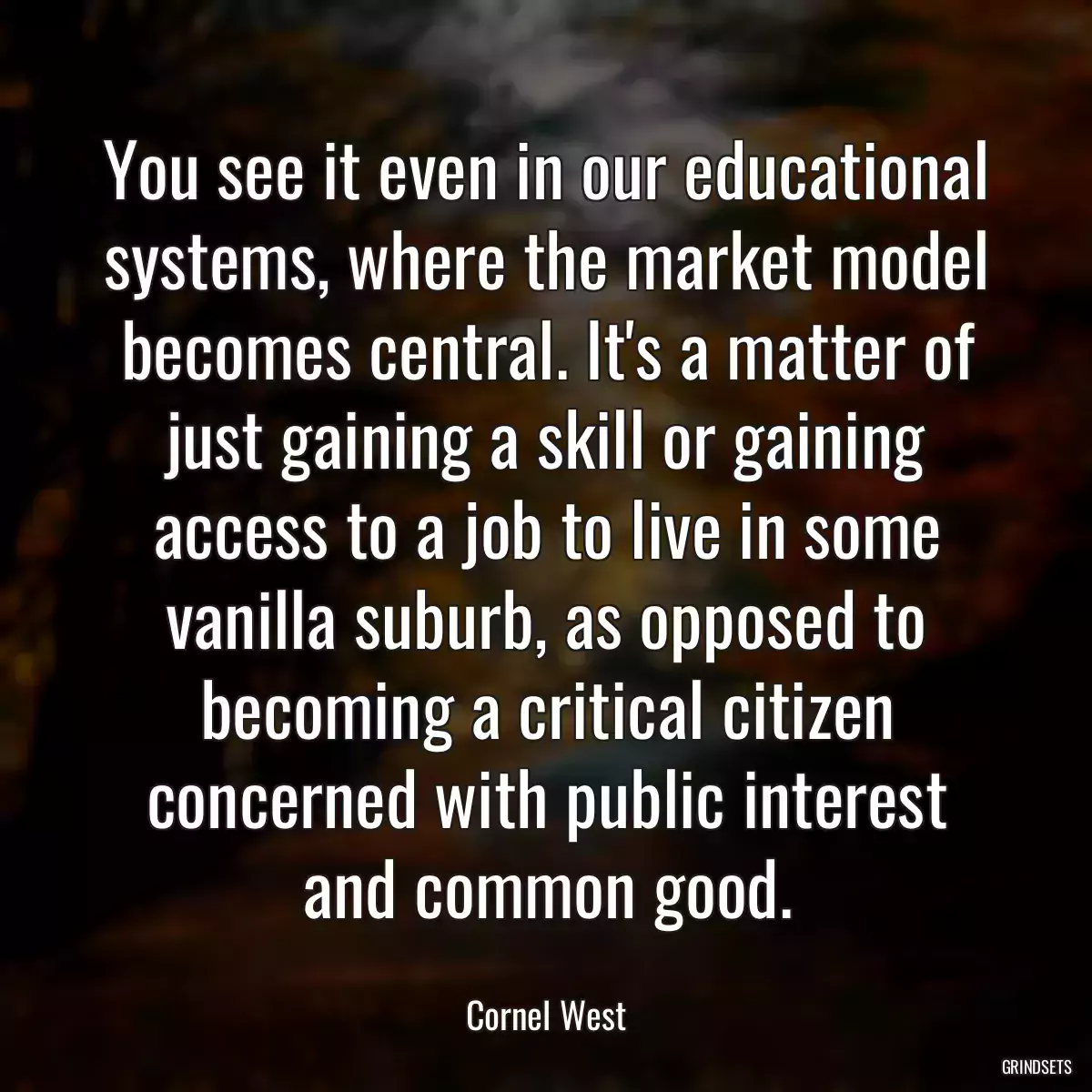 You see it even in our educational systems, where the market model becomes central. It\'s a matter of just gaining a skill or gaining access to a job to live in some vanilla suburb, as opposed to becoming a critical citizen concerned with public interest and common good.