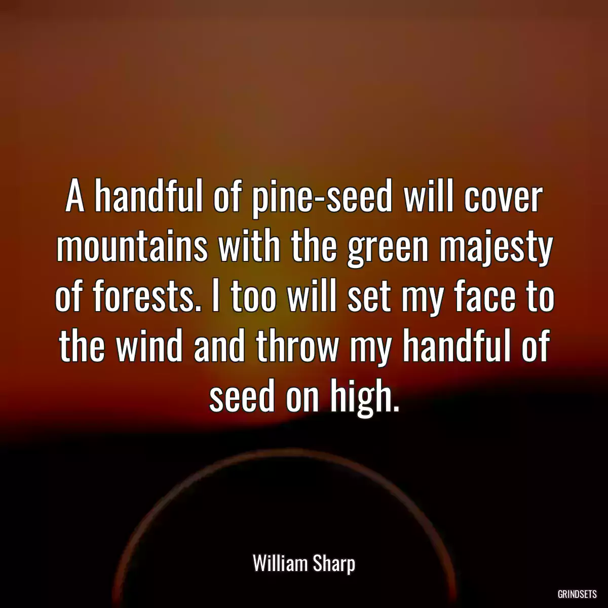 A handful of pine-seed will cover mountains with the green majesty of forests. I too will set my face to the wind and throw my handful of seed on high.