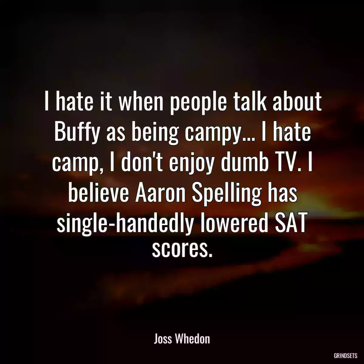 I hate it when people talk about Buffy as being campy... I hate camp, I don\'t enjoy dumb TV. I believe Aaron Spelling has single-handedly lowered SAT scores.