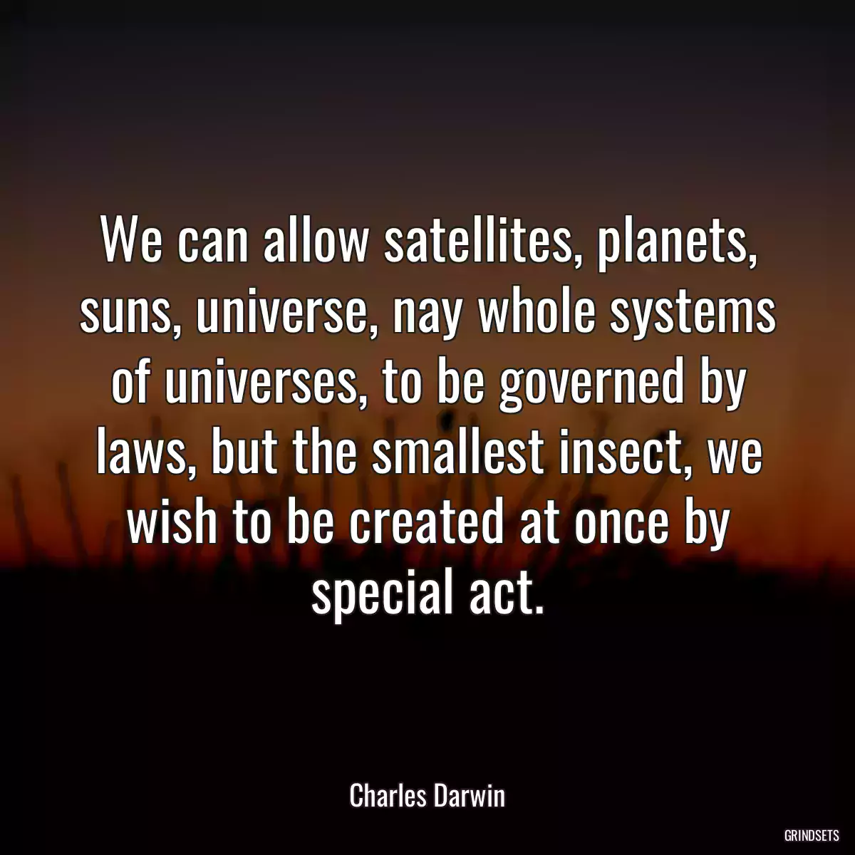 We can allow satellites, planets, suns, universe, nay whole systems of universes, to be governed by laws, but the smallest insect, we wish to be created at once by special act.