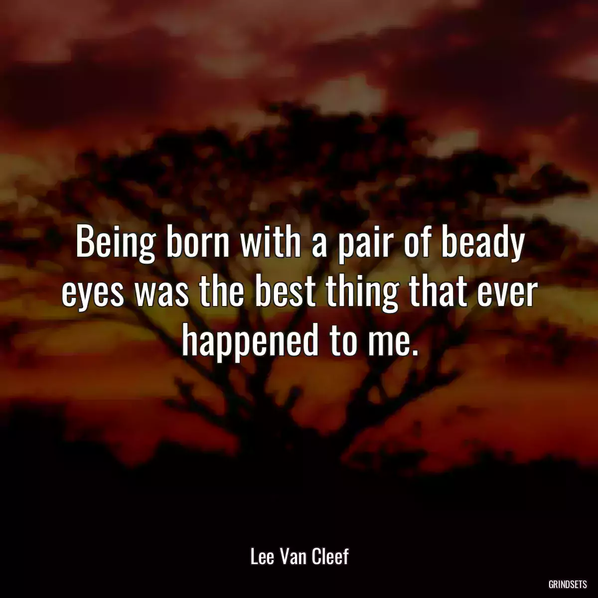 Being born with a pair of beady eyes was the best thing that ever happened to me.