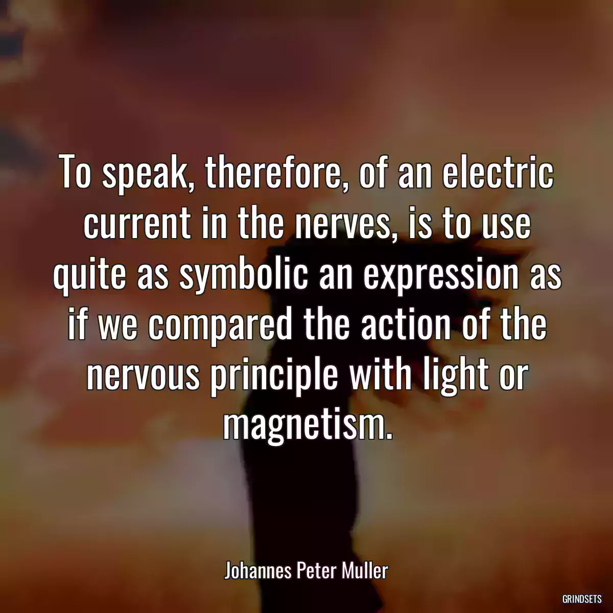 To speak, therefore, of an electric current in the nerves, is to use quite as symbolic an expression as if we compared the action of the nervous principle with light or magnetism.