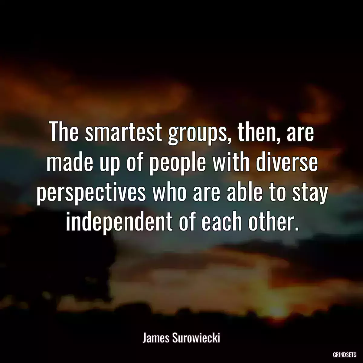 The smartest groups, then, are made up of people with diverse perspectives who are able to stay independent of each other.