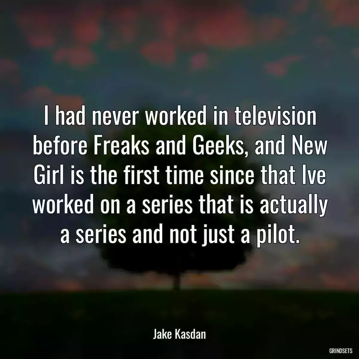 I had never worked in television before Freaks and Geeks, and New Girl is the first time since that Ive worked on a series that is actually a series and not just a pilot.