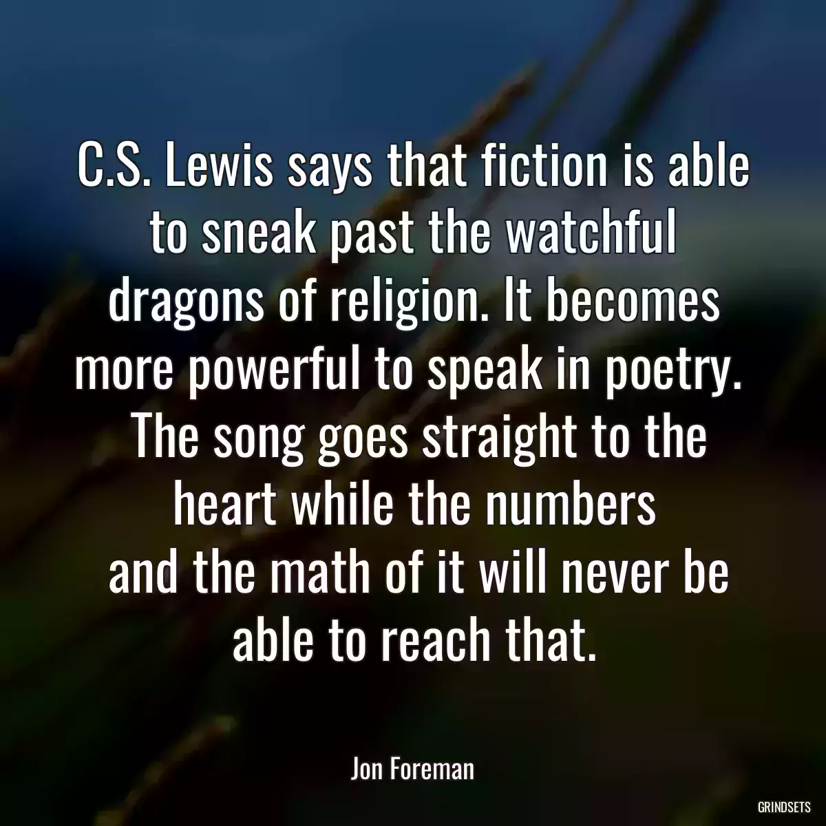 C.S. Lewis says that fiction is able to sneak past the watchful dragons of religion. It becomes more powerful to speak in poetry. 
 The song goes straight to the heart while the numbers
 and the math of it will never be able to reach that.