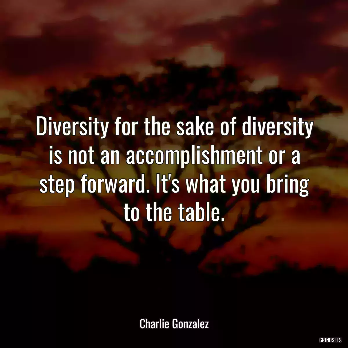 Diversity for the sake of diversity is not an accomplishment or a step forward. It\'s what you bring to the table.