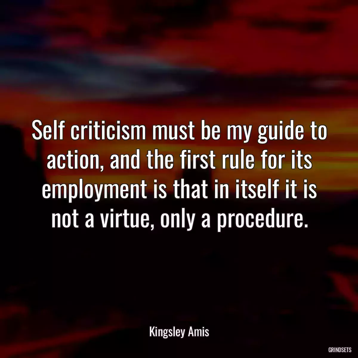 Self criticism must be my guide to action, and the first rule for its employment is that in itself it is not a virtue, only a procedure.