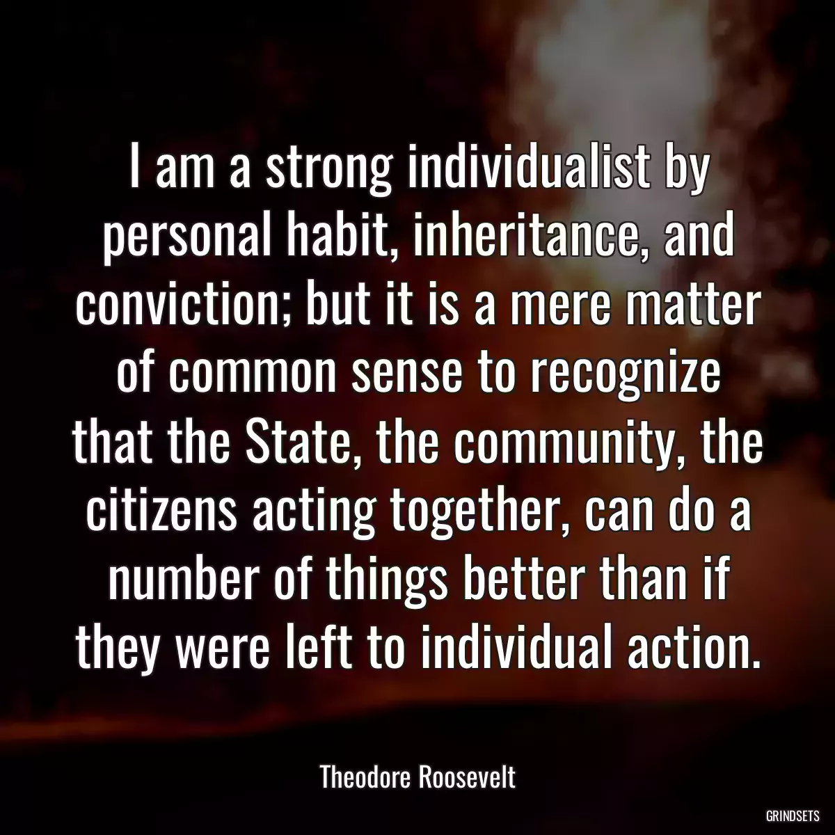 I am a strong individualist by personal habit, inheritance, and conviction; but it is a mere matter of common sense to recognize that the State, the community, the citizens acting together, can do a number of things better than if they were left to individual action.