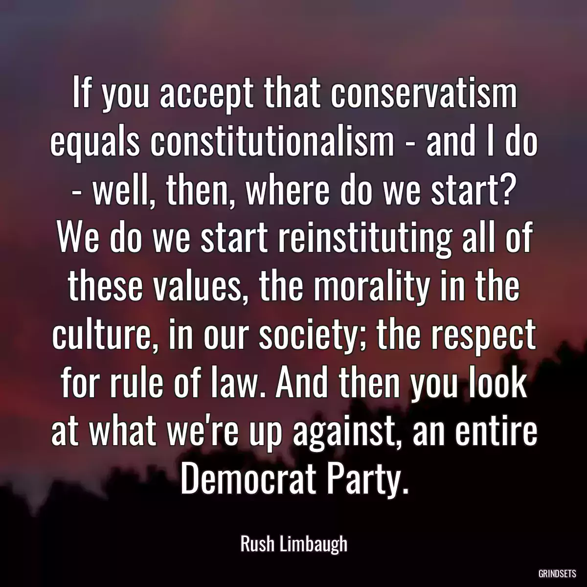 If you accept that conservatism equals constitutionalism - and I do - well, then, where do we start? We do we start reinstituting all of these values, the morality in the culture, in our society; the respect for rule of law. And then you look at what we\'re up against, an entire Democrat Party.