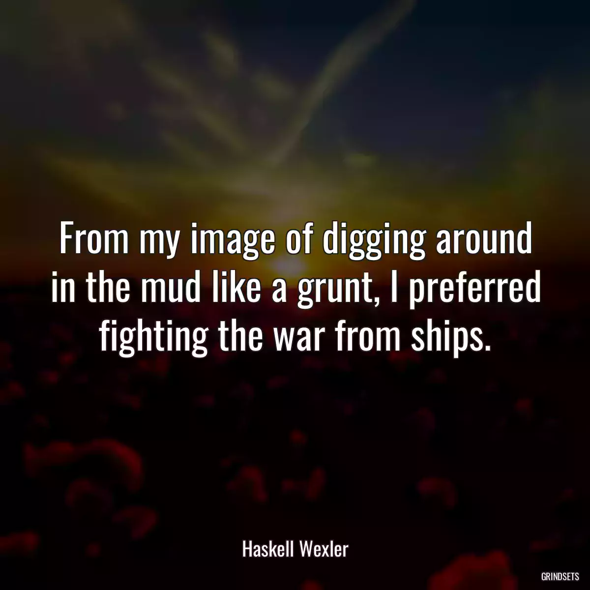 From my image of digging around in the mud like a grunt, I preferred fighting the war from ships.