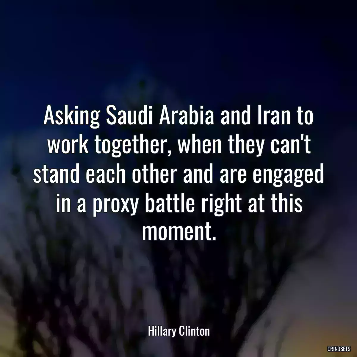 Asking Saudi Arabia and Iran to work together, when they can\'t stand each other and are engaged in a proxy battle right at this moment.