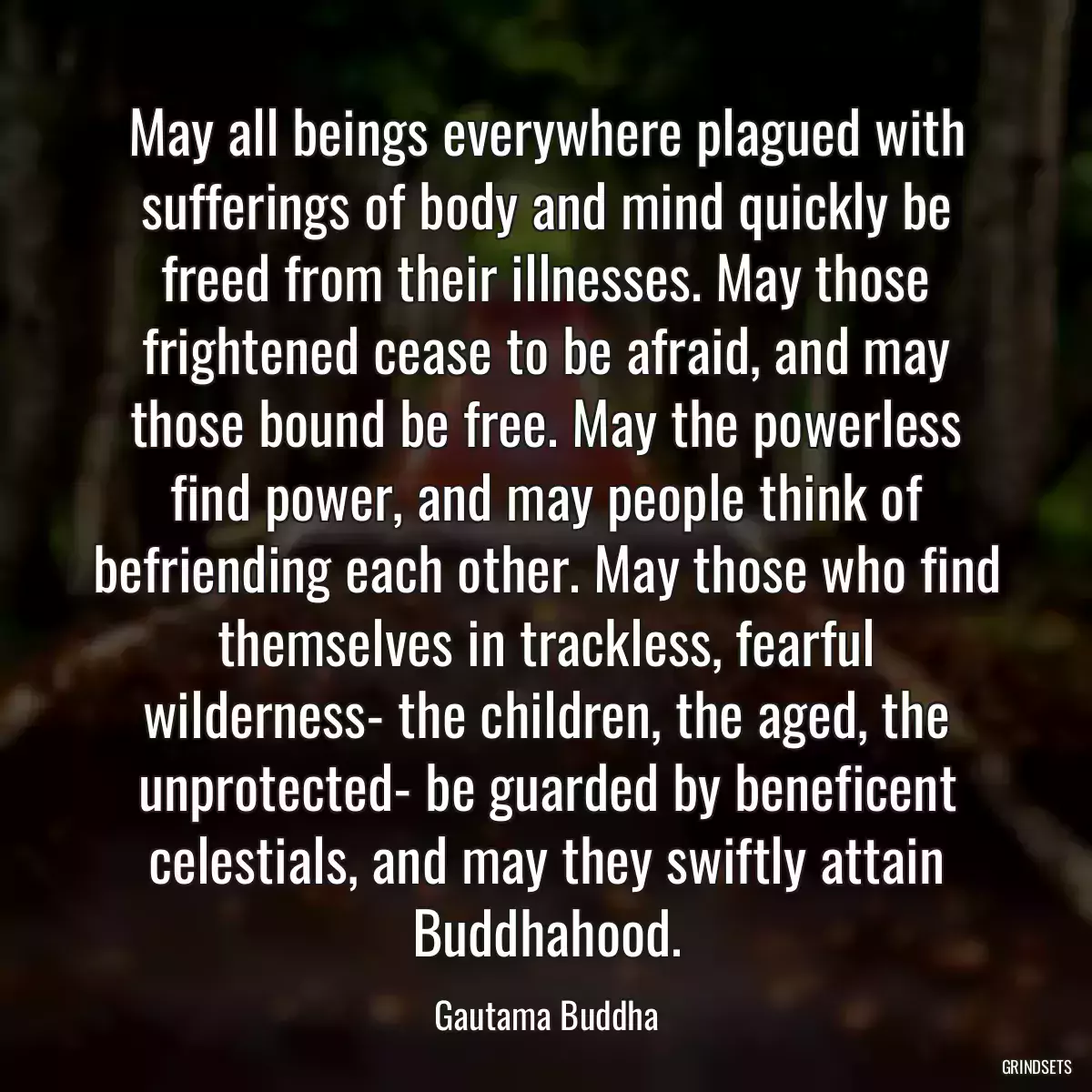 May all beings everywhere plagued with sufferings of body and mind quickly be freed from their illnesses. May those frightened cease to be afraid, and may those bound be free. May the powerless find power, and may people think of befriending each other. May those who find themselves in trackless, fearful wilderness- the children, the aged, the unprotected- be guarded by beneficent celestials, and may they swiftly attain Buddhahood.