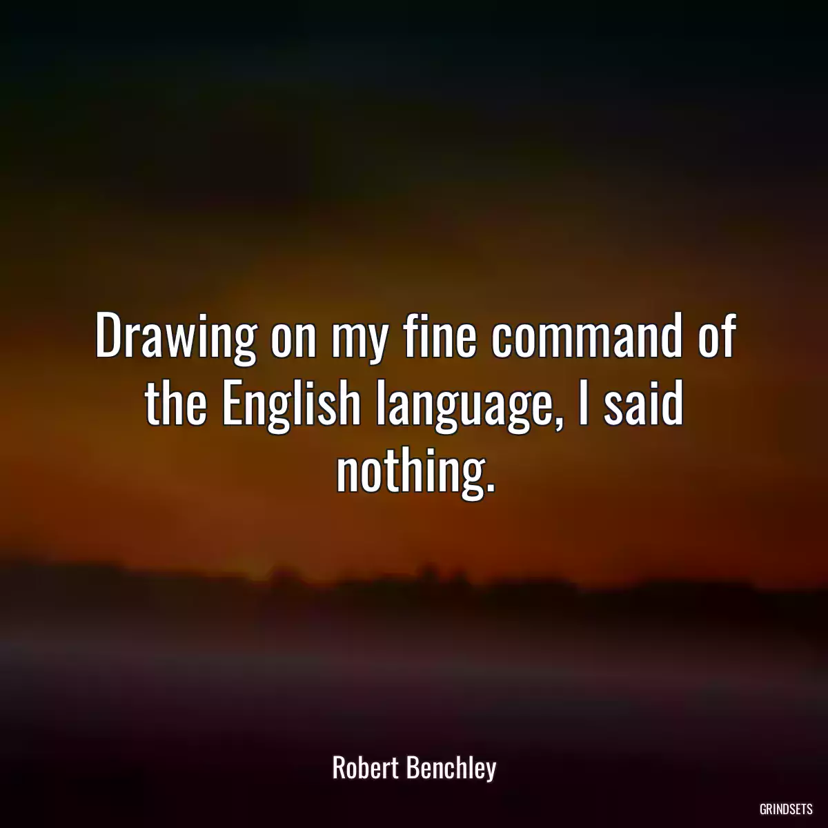 Drawing on my fine command of the English language, I said nothing.