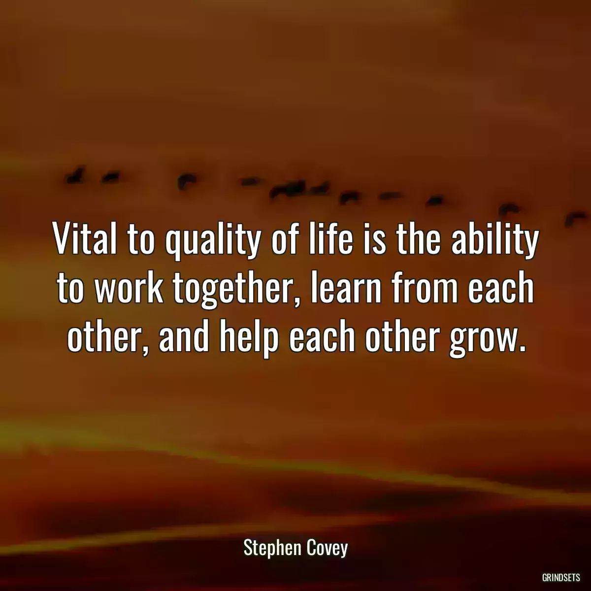 Vital to quality of life is the ability to work together, learn from each other, and help each other grow.