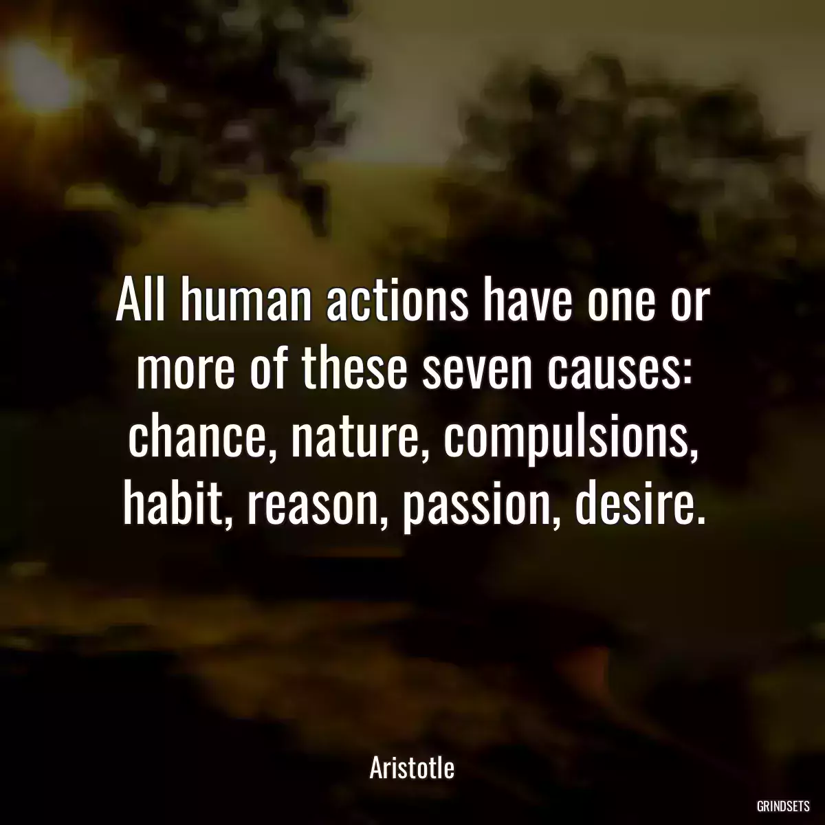 All human actions have one or more of these seven causes: chance, nature, compulsions, habit, reason, passion, desire.