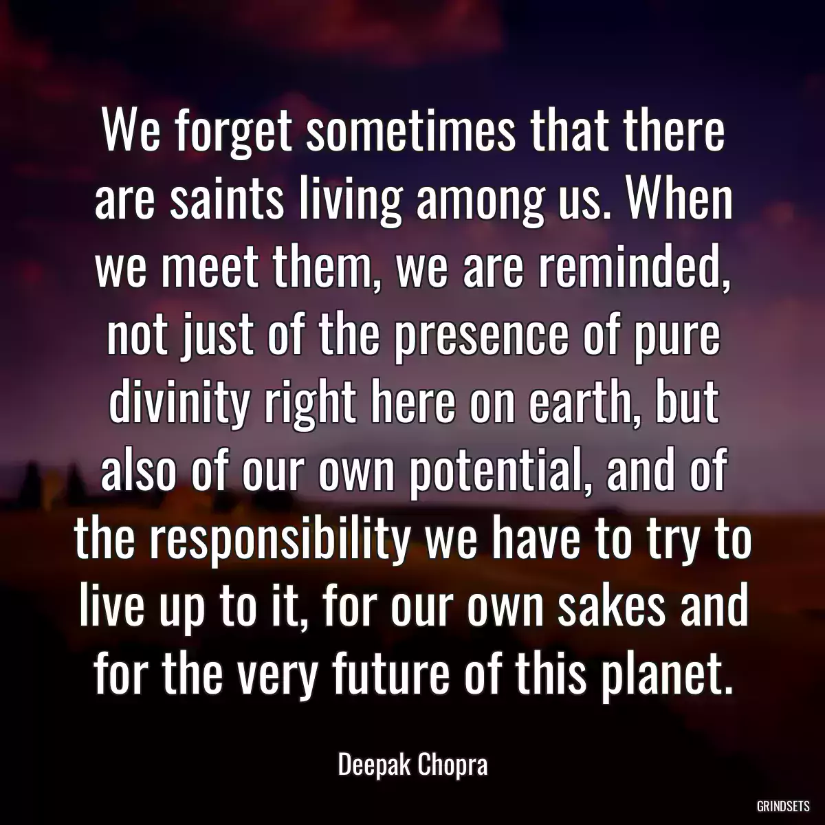 We forget sometimes that there are saints living among us. When we meet them, we are reminded, not just of the presence of pure divinity right here on earth, but also of our own potential, and of the responsibility we have to try to live up to it, for our own sakes and for the very future of this planet.