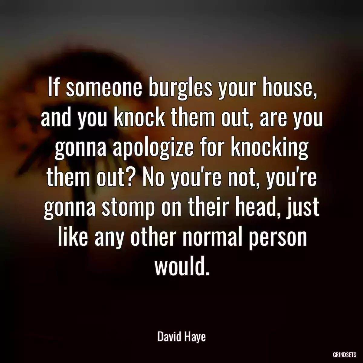 If someone burgles your house, and you knock them out, are you gonna apologize for knocking them out? No you\'re not, you\'re gonna stomp on their head, just like any other normal person would.