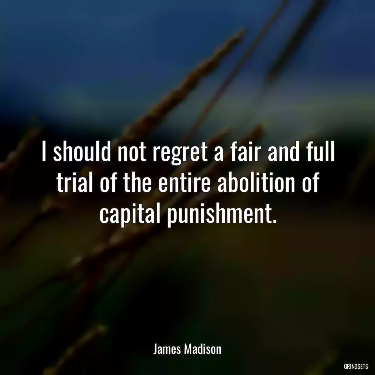 I should not regret a fair and full trial of the entire abolition of capital punishment.