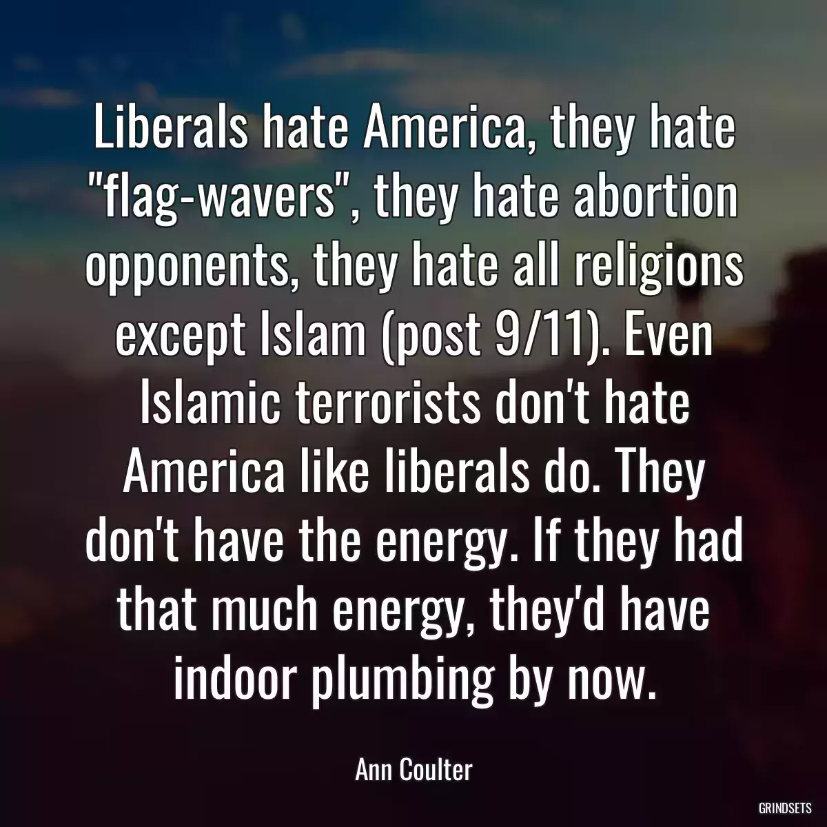 Liberals hate America, they hate \