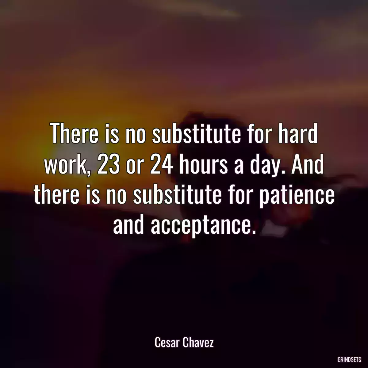 There is no substitute for hard work, 23 or 24 hours a day. And there is no substitute for patience and acceptance.