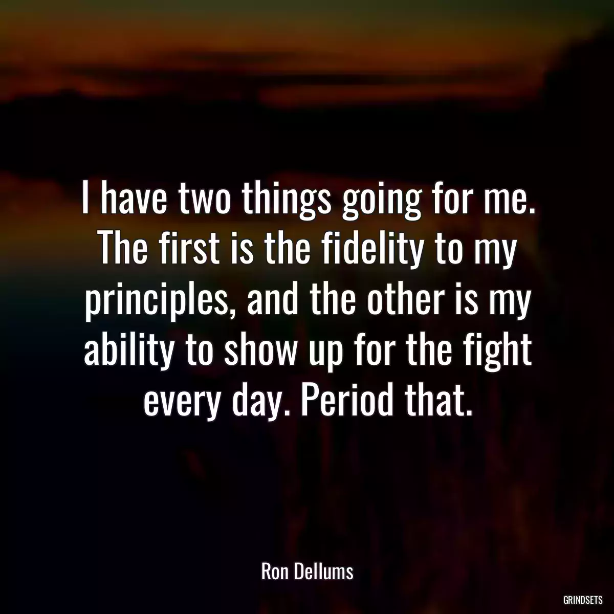 I have two things going for me. The first is the fidelity to my principles, and the other is my ability to show up for the fight every day. Period that.