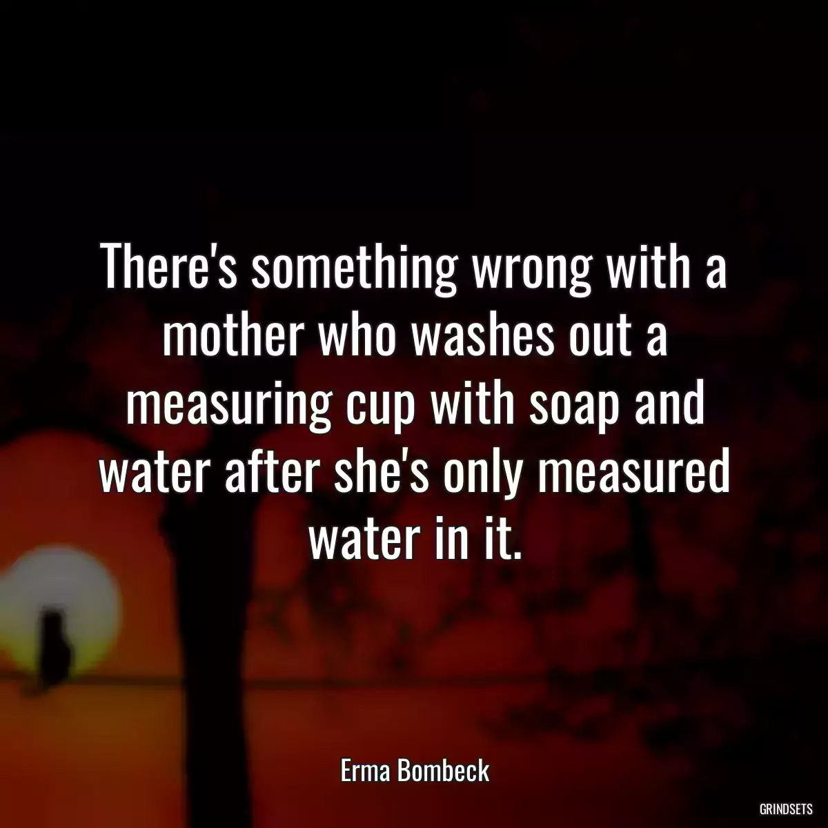 There\'s something wrong with a mother who washes out a measuring cup with soap and water after she\'s only measured water in it.