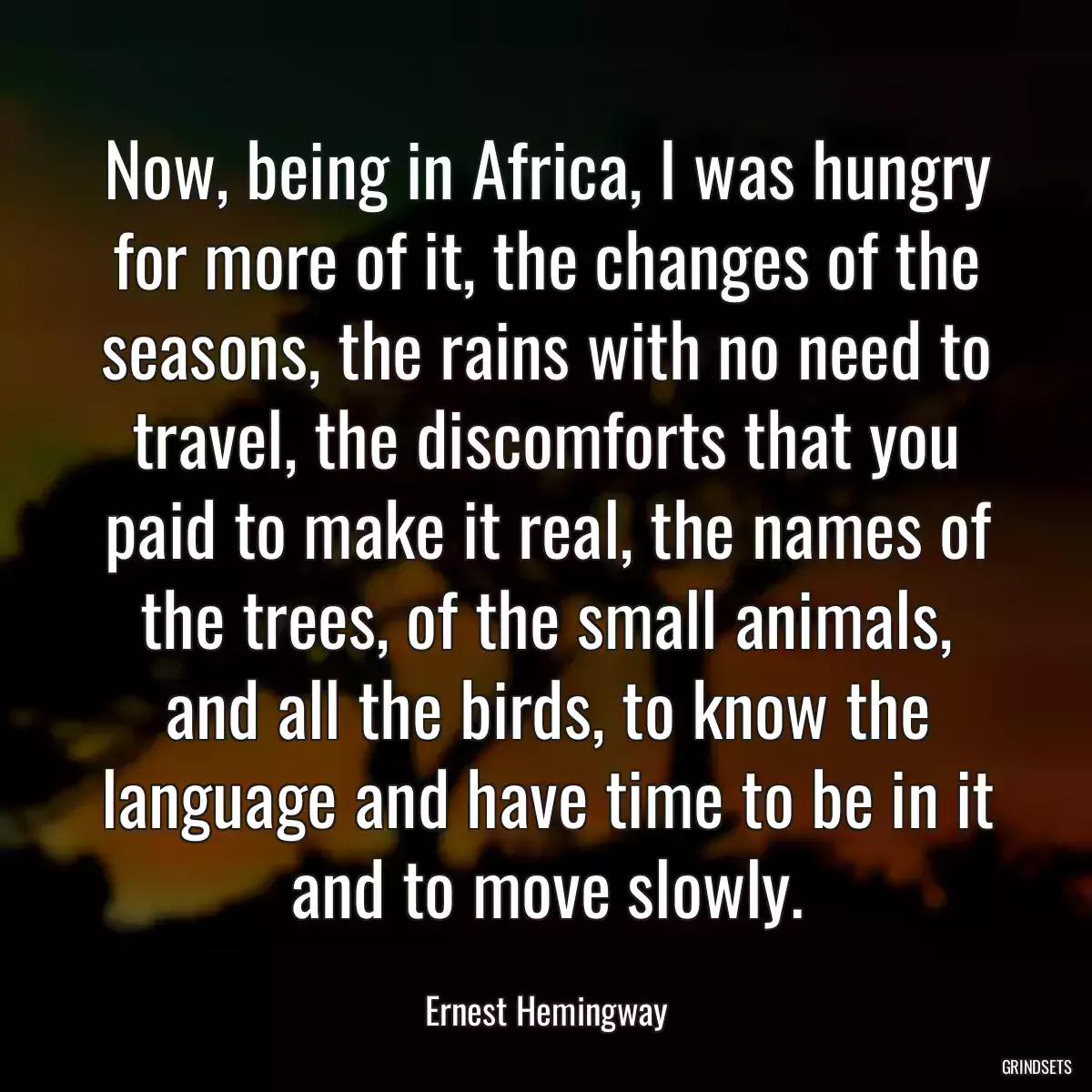 Now, being in Africa, I was hungry for more of it, the changes of the seasons, the rains with no need to travel, the discomforts that you paid to make it real, the names of the trees, of the small animals, and all the birds, to know the language and have time to be in it and to move slowly.