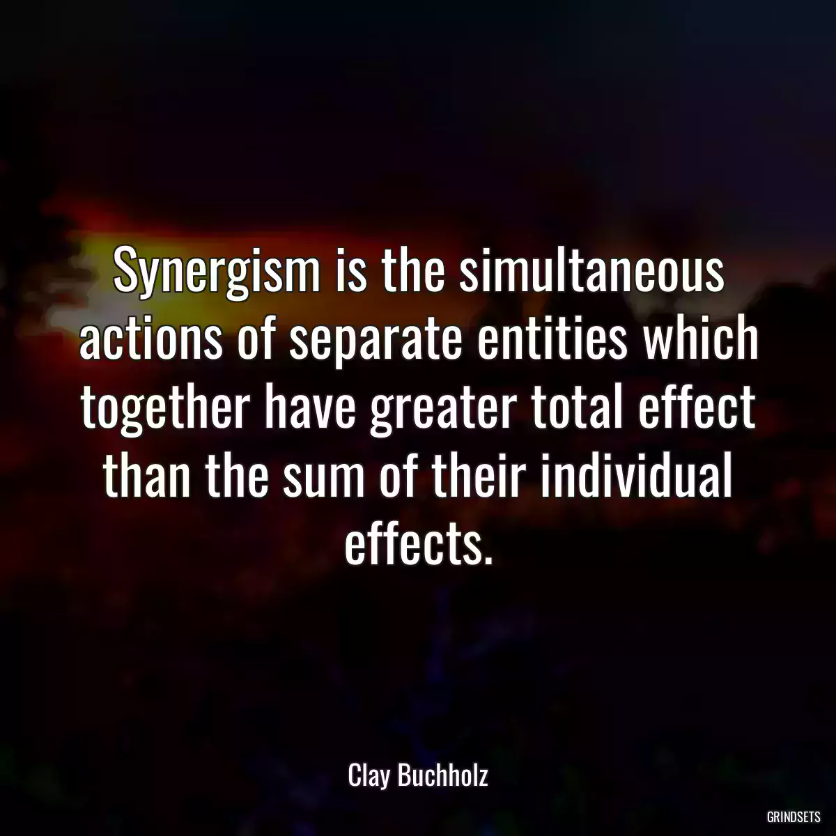 Synergism is the simultaneous actions of separate entities which together have greater total effect than the sum of their individual effects.