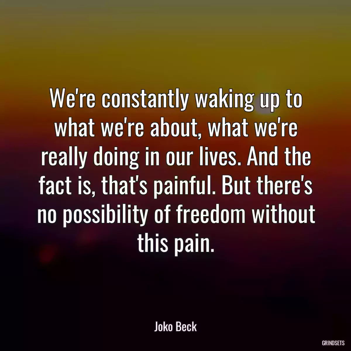 We\'re constantly waking up to what we\'re about, what we\'re really doing in our lives. And the fact is, that\'s painful. But there\'s no possibility of freedom without this pain.