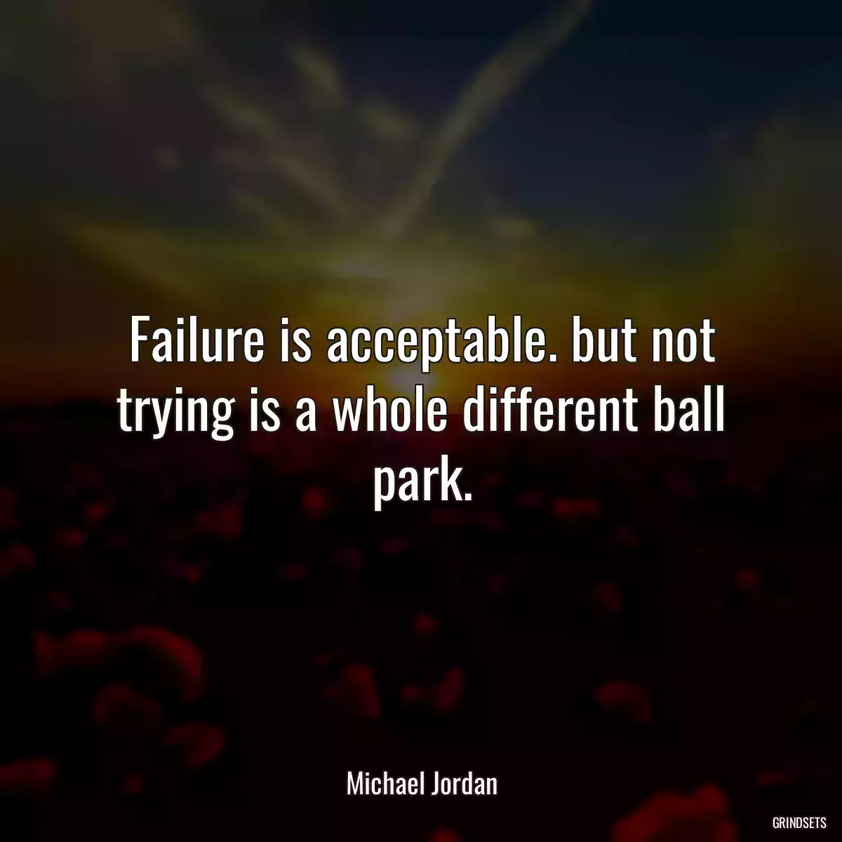 Failure is acceptable. but not trying is a whole different ball park.