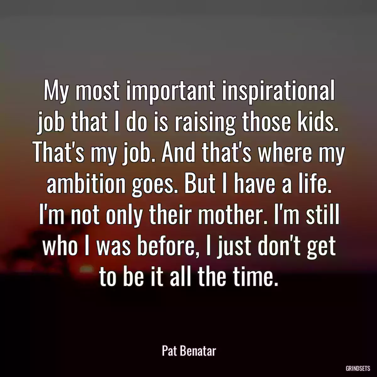 My most important inspirational job that I do is raising those kids. That\'s my job. And that\'s where my ambition goes. But I have a life. I\'m not only their mother. I\'m still who I was before, I just don\'t get to be it all the time.